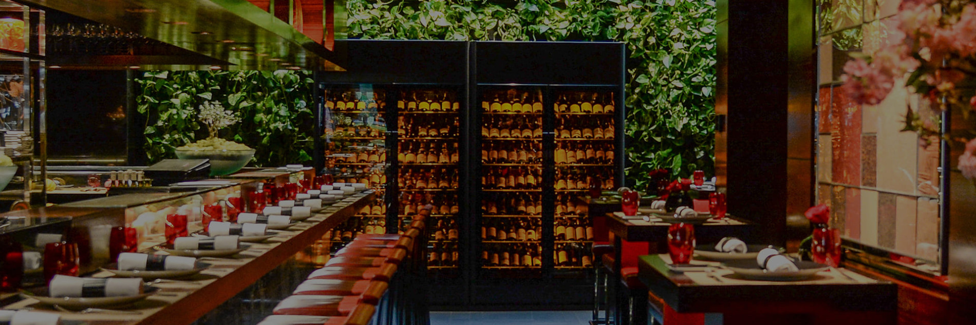 Achat équipement professionnel CHR et matériel de restauration HORECA : cave, vitrine à vin réfrigérée, armoires positives, agencement cave naturelle pour hôtel, restaurant, caviste, bar à vins, design, robuste, pratique et fonctionnel.