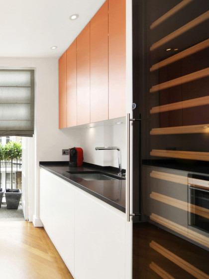 eurocave-installation-kitchen-design-flush-fitted-wine-cooler-london-UK-compact-1.jpeg